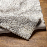 Surya Cloudy Shag Cdg-2306 Beige Rug.