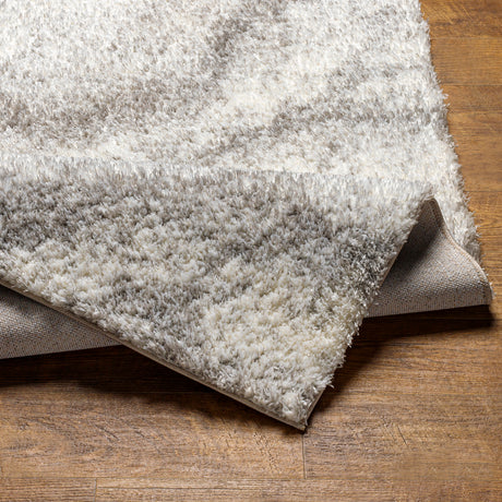 Surya Cloudy Shag Cdg-2306 Beige Rug.