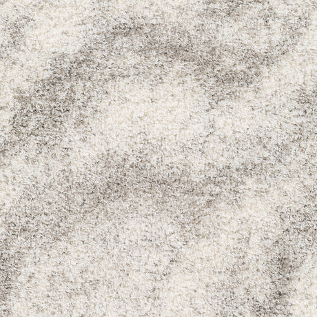 Surya Cloudy Shag Cdg-2306 Beige Rug.