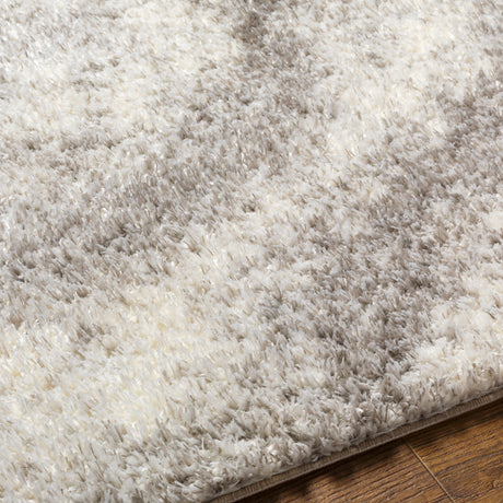 Surya Cloudy Shag Cdg-2306 Beige Rug.