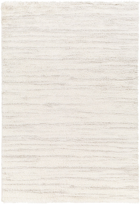 Surya Cloudy Shag Cdg-2307 Beige Rug.