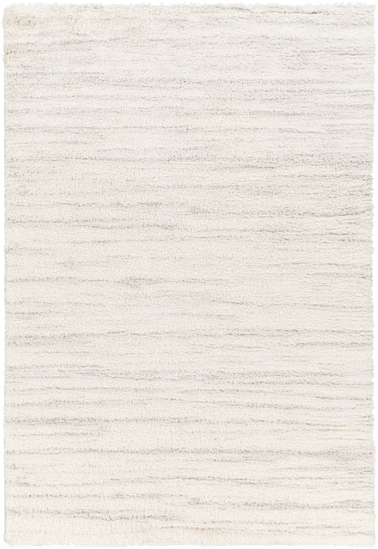 Surya Cloudy Shag Cdg-2307 Beige Area Rug