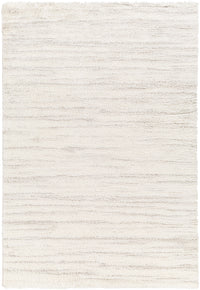 Surya Cloudy Shag Cdg-2307 Beige Area Rug