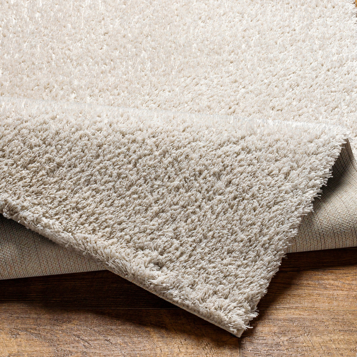 Surya Cloudy Shag Cdg-2307 Beige Rug.