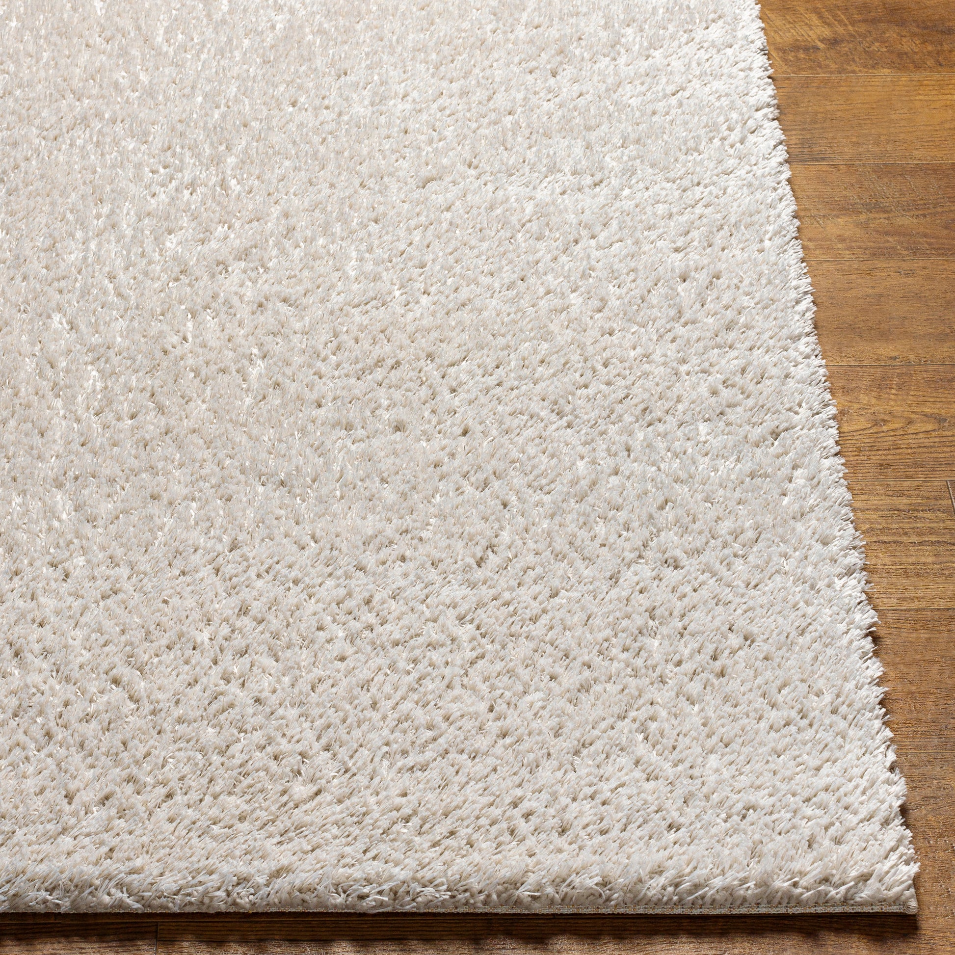 Surya Cloudy Shag Cdg-2307 Beige Area Rug