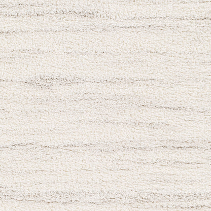 Surya Cloudy Shag Cdg-2307 Beige Area Rug