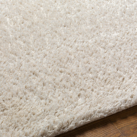 Surya Cloudy Shag Cdg-2307 Beige Rug.