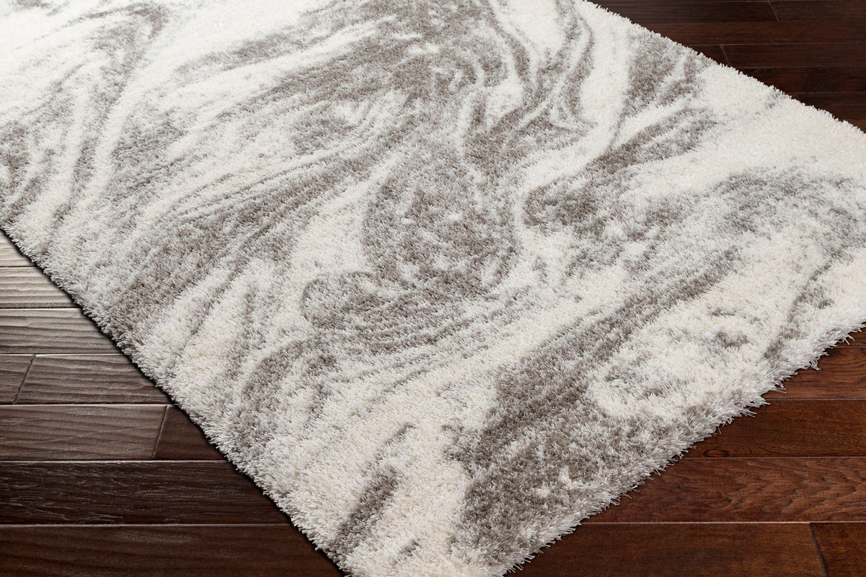 Surya Cloudy Shag Cdg-2308 Beige Rug.
