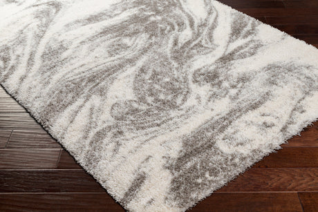 Surya Cloudy Shag Cdg-2308 Beige Rug.