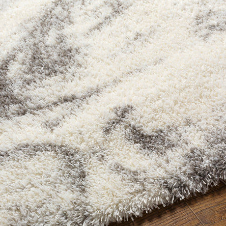Surya Cloudy Shag Cdg-2308 Beige Rug.