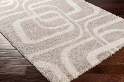 Surya Cloudy Shag Cdg-2309 Beige Area Rug