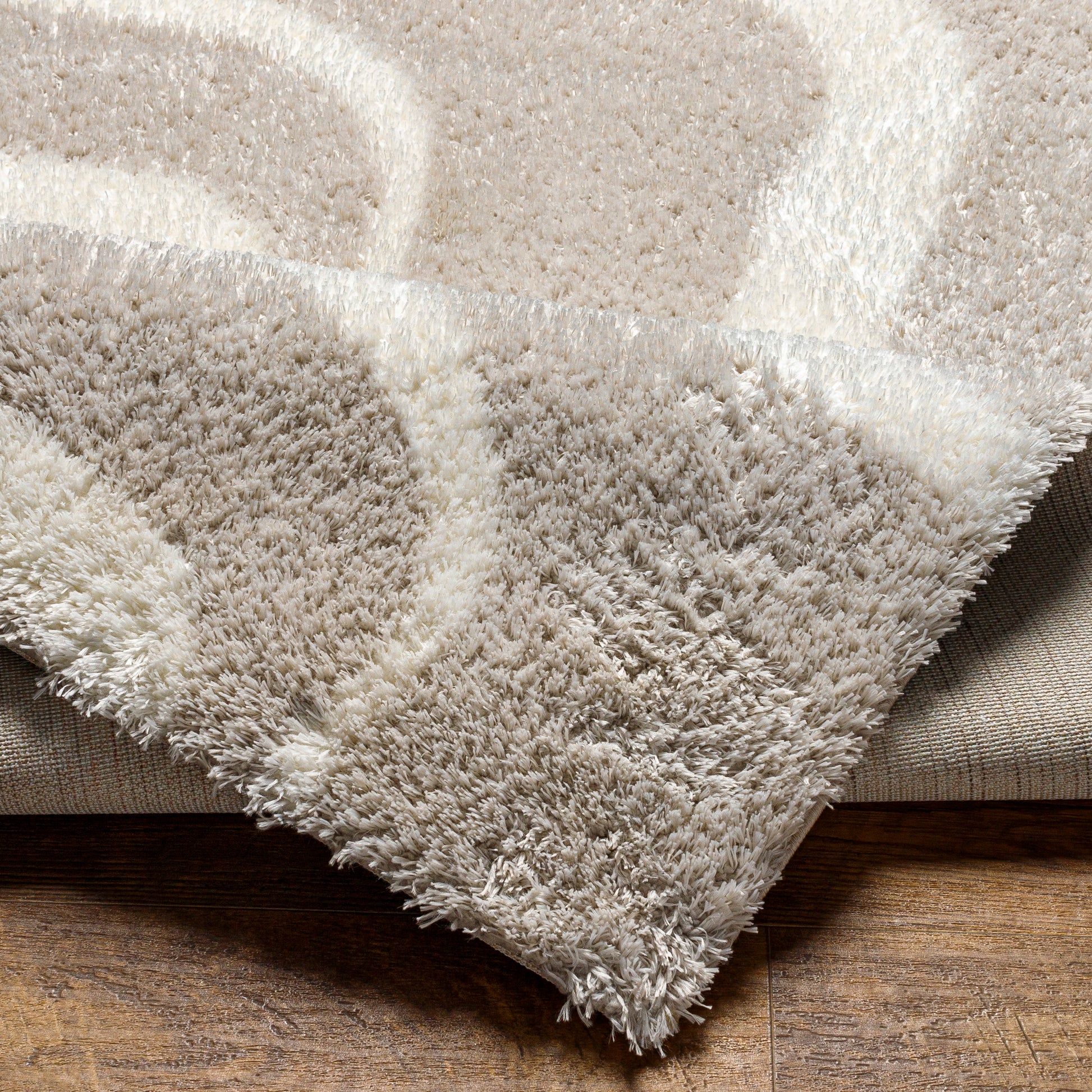 Surya Cloudy Shag Cdg-2309 Beige Area Rug