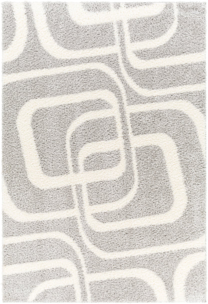 Surya Cloudy Shag Cdg-2310 Grey Area Rug