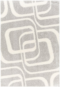 Surya Cloudy Shag Cdg-2310 Grey Area Rug