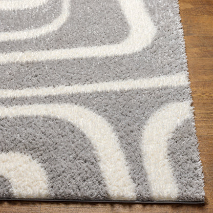 Surya Cloudy Shag Cdg-2310 Grey Area Rug