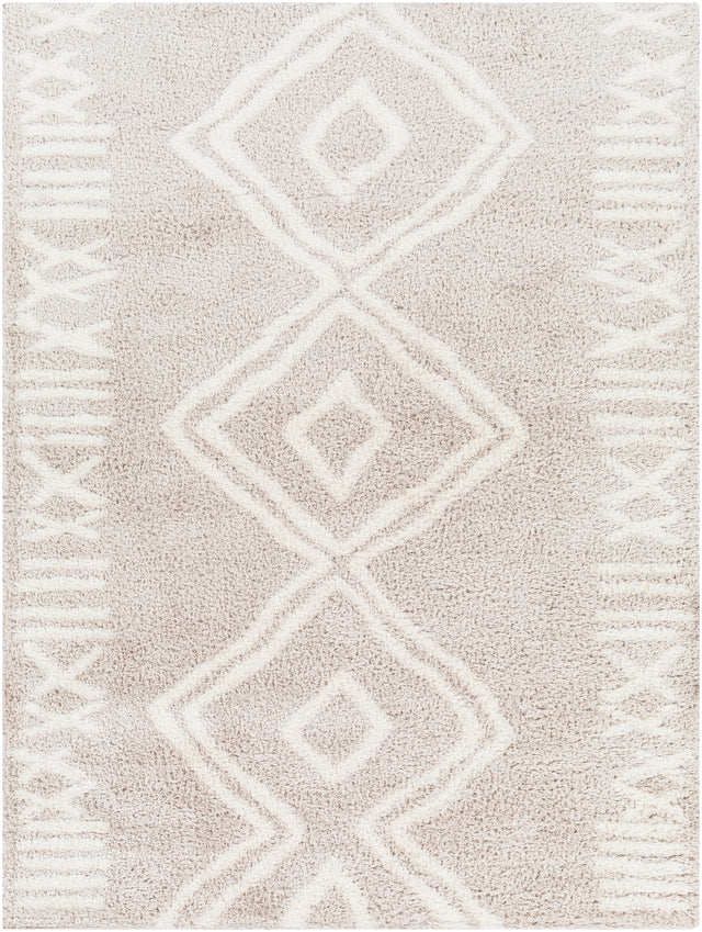 Surya Cloudy Shag Cdg-2311 Beige Rug.