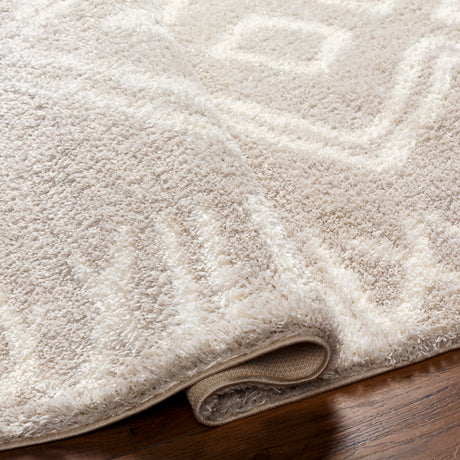 Surya Cloudy Shag Cdg-2311 Beige Rug.