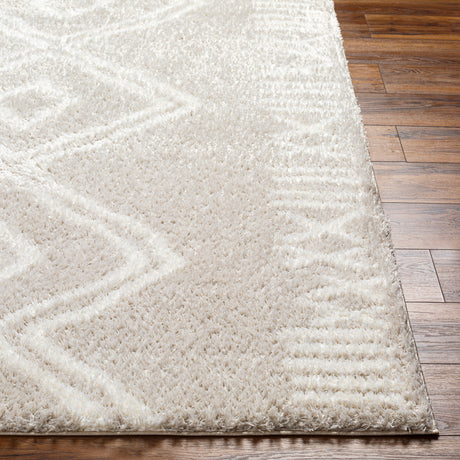 Surya Cloudy Shag Cdg-2311 Beige Rug.