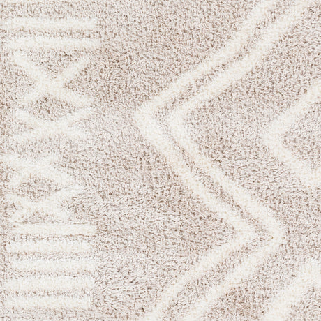 Surya Cloudy Shag Cdg-2311 Beige Rug.