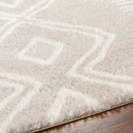 Surya Cloudy Shag Cdg-2311 Beige Rug.