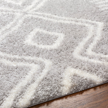 Surya Cloudy Shag Cdg-2312 Grey Area Rug