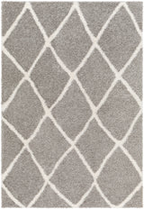 Surya Cloudy Shag Cdg-2313 Grey Rug.
