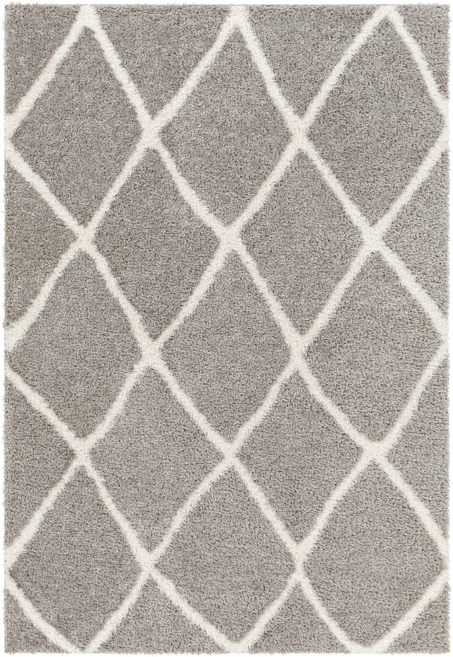 Surya Cloudy Shag Cdg-2313 Grey Rug.