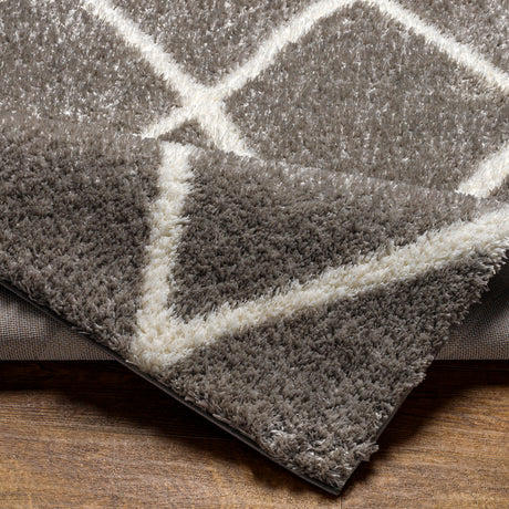 Surya Cloudy Shag Cdg-2313 Grey Rug.