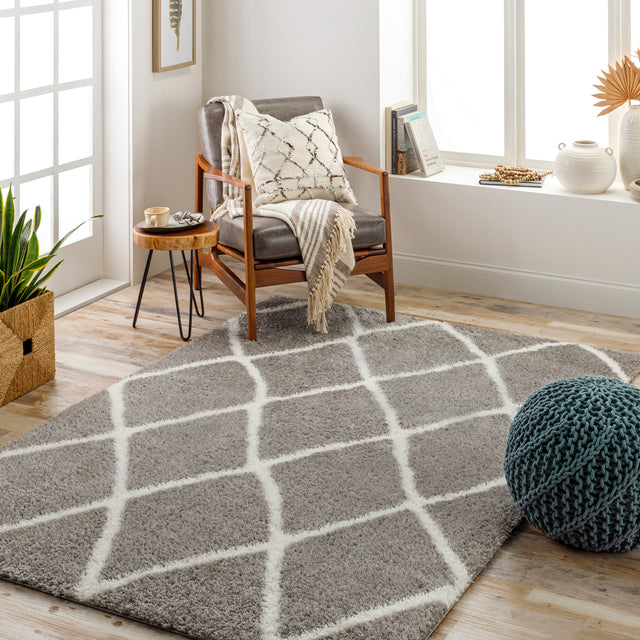 Surya Cloudy Shag Cdg-2313 Grey Rug.