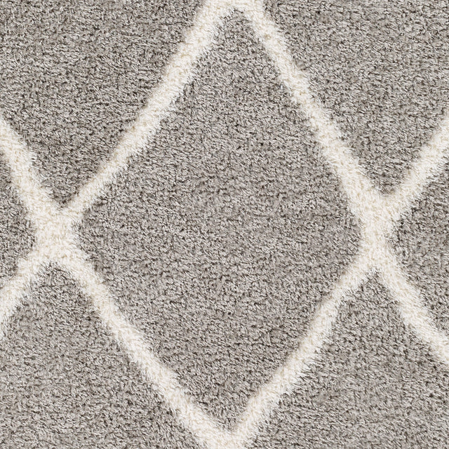 Surya Cloudy Shag Cdg-2313 Grey Rug.