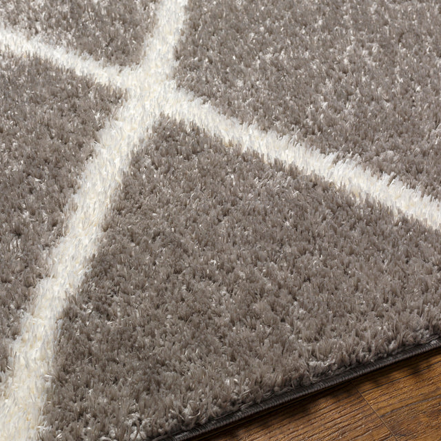 Surya Cloudy Shag Cdg-2313 Grey Rug.