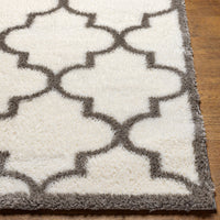 Surya Cloudy Shag Cdg-2314 Beige Area Rug