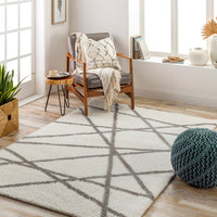 Surya Cloudy Shag Cdg-2316 Beige Area Rug