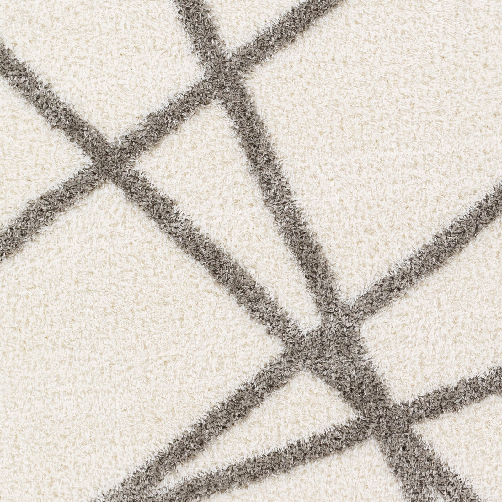 Surya Cloudy Shag Cdg-2316 Beige Area Rug