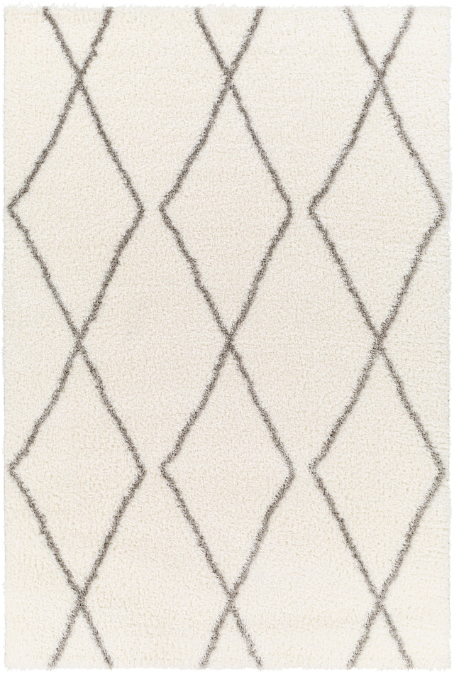 Surya Cloudy Shag Cdg-2317 Beige Rug.