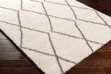 Surya Cloudy Shag Cdg-2317 Beige Rug.