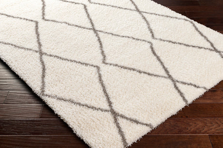 Surya Cloudy Shag Cdg-2317 Beige Rug.