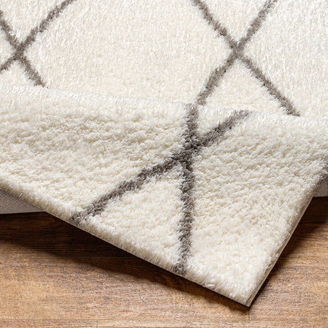 Surya Cloudy Shag Cdg-2317 Beige Rug.