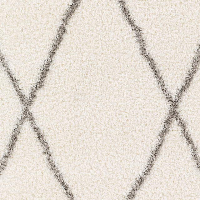 Surya Cloudy Shag Cdg-2317 Beige Rug.