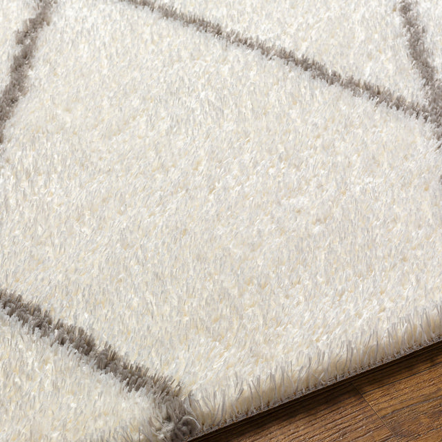 Surya Cloudy Shag Cdg-2317 Beige Rug.