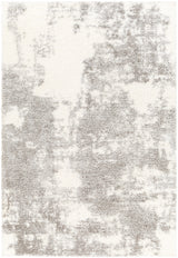 Surya Cloudy Shag Cdg-2318 Grey Rug.