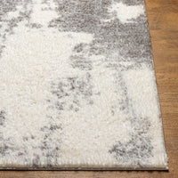 Surya Cloudy Shag Cdg-2318 Grey Area Rug