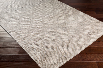 Surya Colarado Cdo-2301 Taupe, Ivory, Black Area Rug