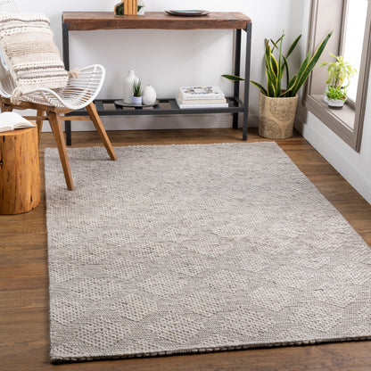 Surya Colarado Cdo-2301 Taupe, Ivory, Black Area Rug