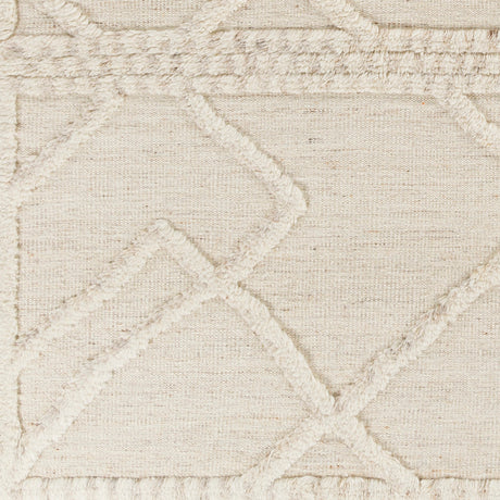 Surya Cadiz Cdz-2303 Beige, Taupe, Cream Rugs.