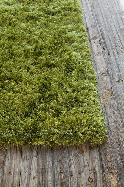 Chandra Celecot cel-4705 Green Shag Area Rug