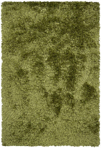 Chandra Celecot cel-4705 Green Shag Area Rug