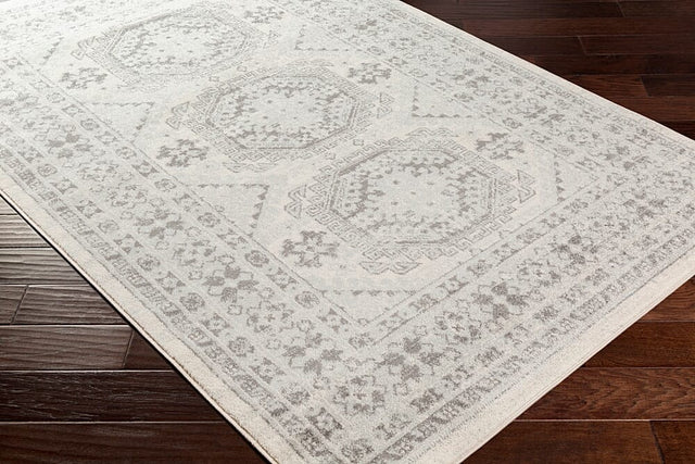 Surya Chester Che-2309 Light Gray, Medium Gray, Khaki Rugs.