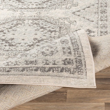 Surya Chester Che-2309 Light Gray, Medium Gray, Khaki Rugs.