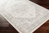 Surya Chester Che-2312 Light Gray, Medium Gray, Khaki Rugs.